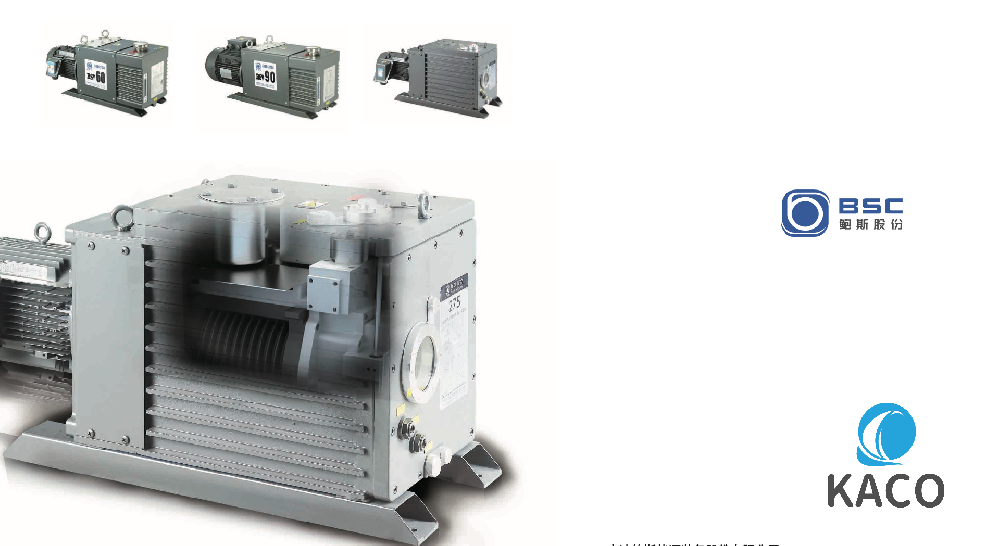 鮑斯BSV175雙級(jí)油封旋片式真空泵